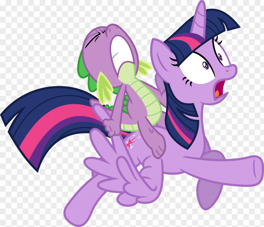 Twilight Pony Pinkie Pie Spike Rainbow Dash Horse PNG