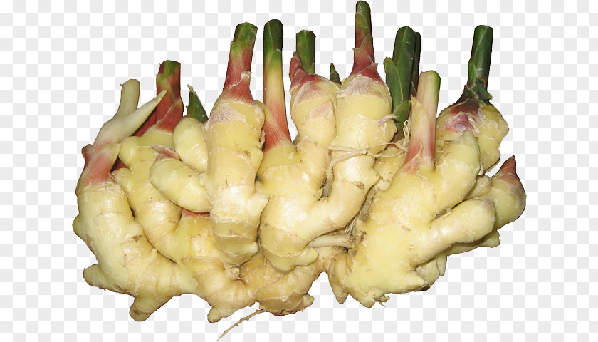 A Ginger Bud Food Vegetable Turmeric Allium Fistulosum PNG