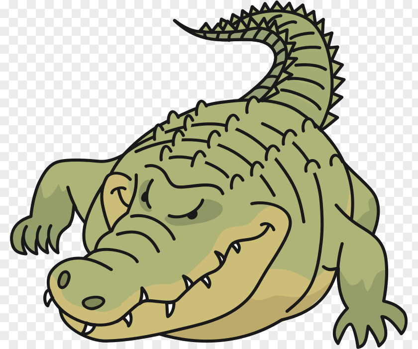 Crocodile Crocodiles Alligators Clip Art PNG
