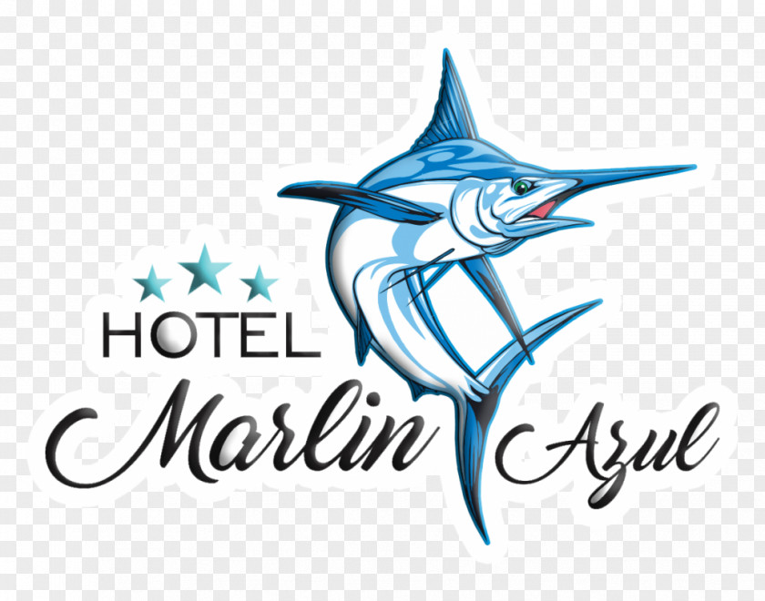 Dolphin Hotel Marlin Azul Beach Porpoise PNG