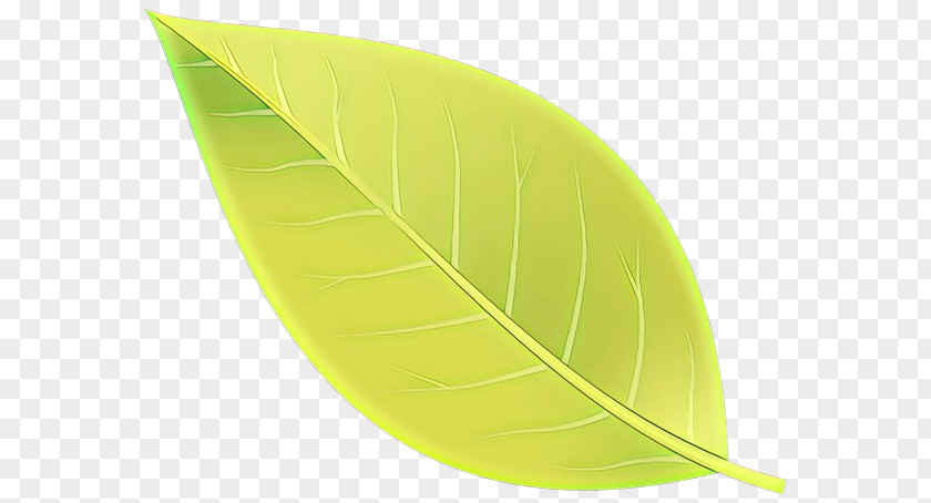 Plant Green Leaf Yellow PNG