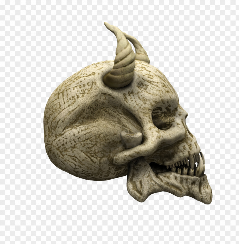 Skull U9ab7u9ac5 Skeleton Snout PNG