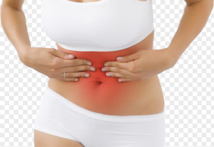 Abdominal Tenderness Abdomen Quadrant Gastritis Stomach PNG tenderness Stomach, Broad Left Front clipart PNG