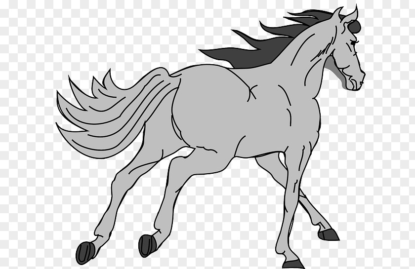 Curve Sloepe Arabian Horse American Paint Mustang Pony Clip Art PNG