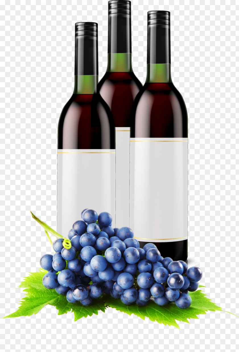 Grape Common Vine Fruit PNG