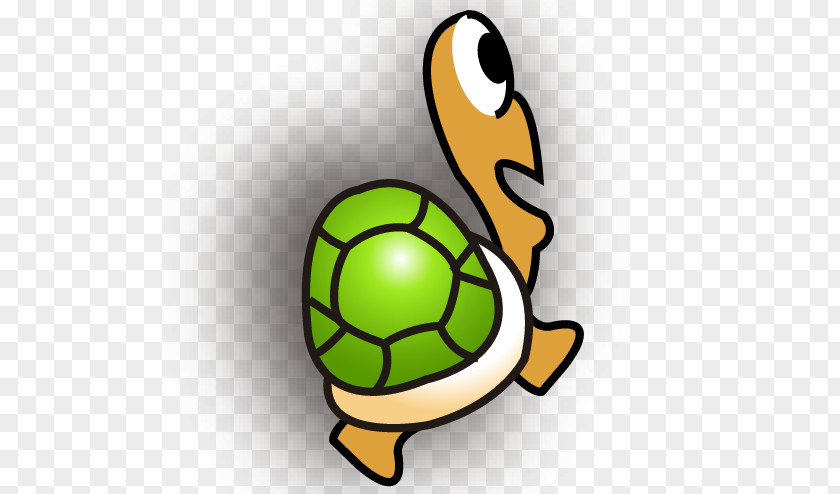 Insect Tortoise Football Clip Art PNG