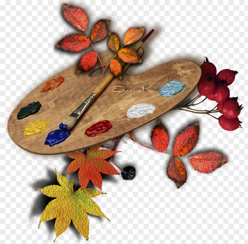 Autumn Painter Drawing Moth PNG