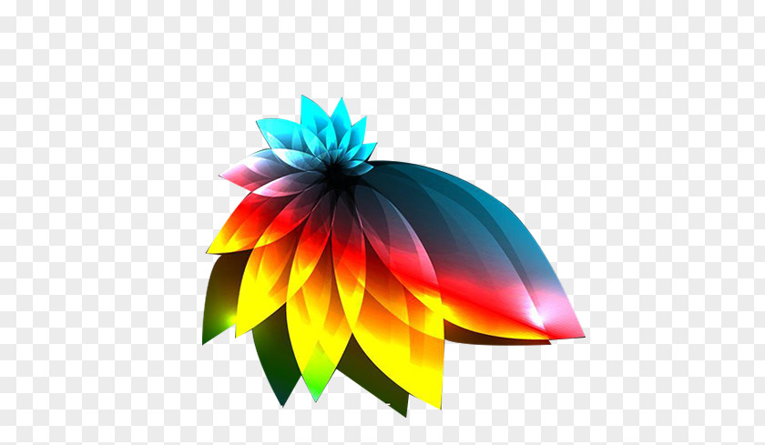 Colorful Peacock Tail Light Color Darkness Euclidean Vector PNG