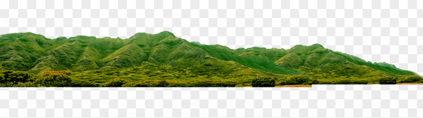 Green Mountains Vegetation Landscaping Land Lot Grasses Ecosystem PNG