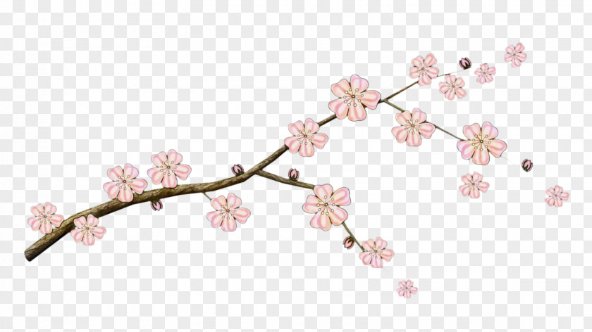 Jewellery Plant Cherry Blossom Tree PNG