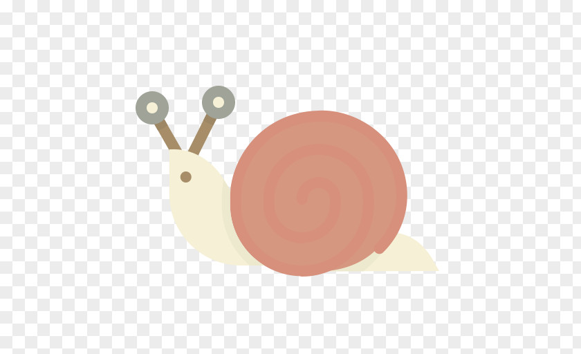 Snail Pink M Cartoon PNG