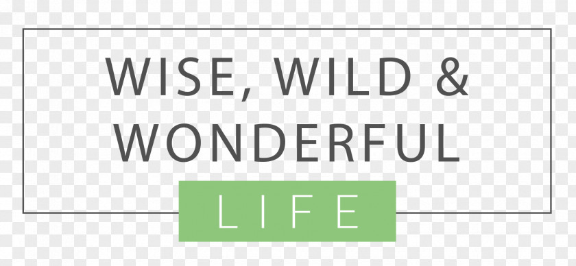 Wild Adventure Paper Brand Logo Line Font PNG
