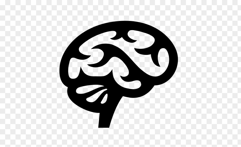 Brain Human Cerebrum PNG
