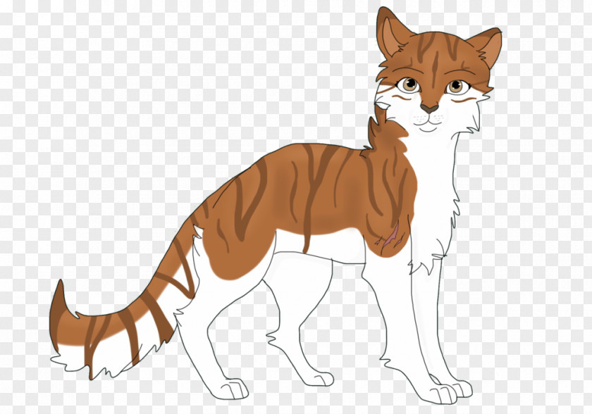 Cat Whiskers Wildcat Red Fox Mammal PNG