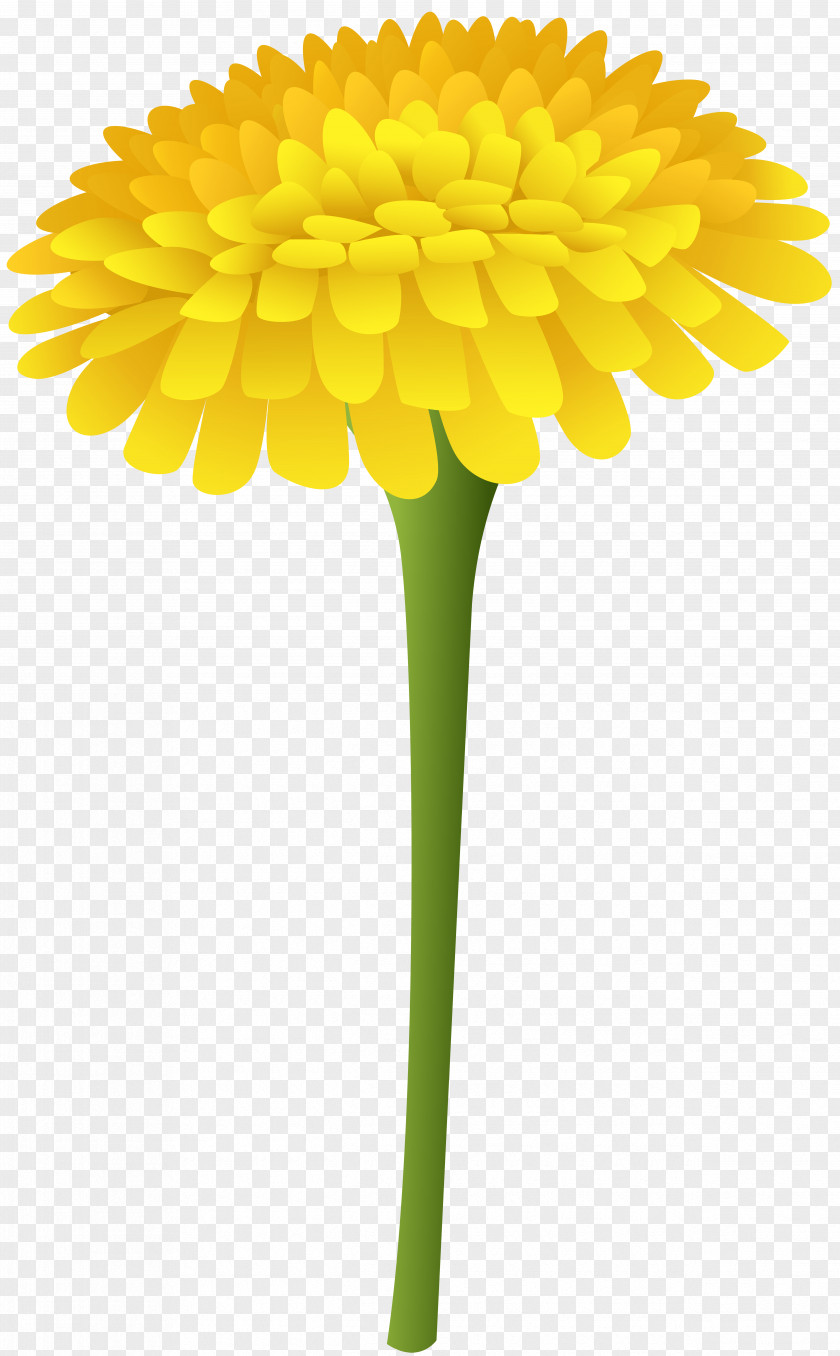 Dandelion Marigold Flower Clip Art PNG