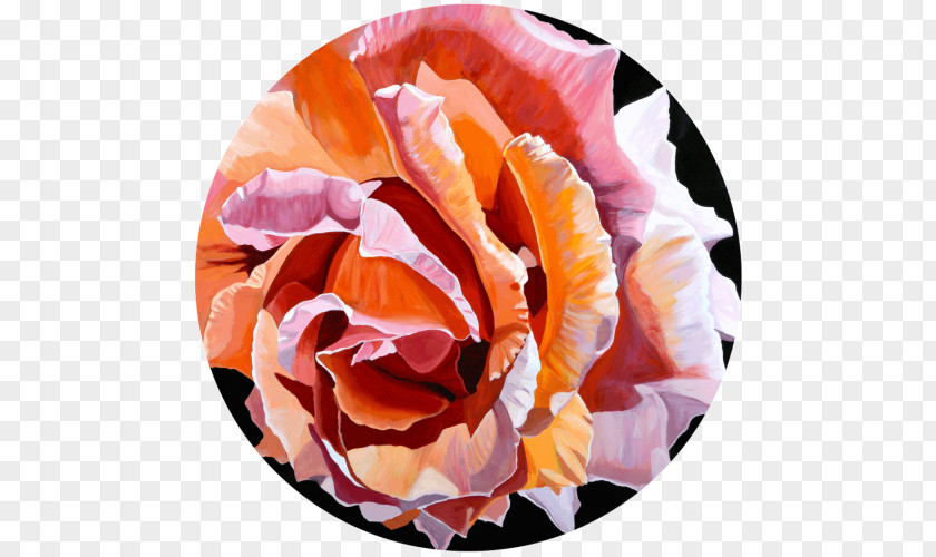 Peach Rosette Garden Roses Work Of Art Painting Canvas PNG