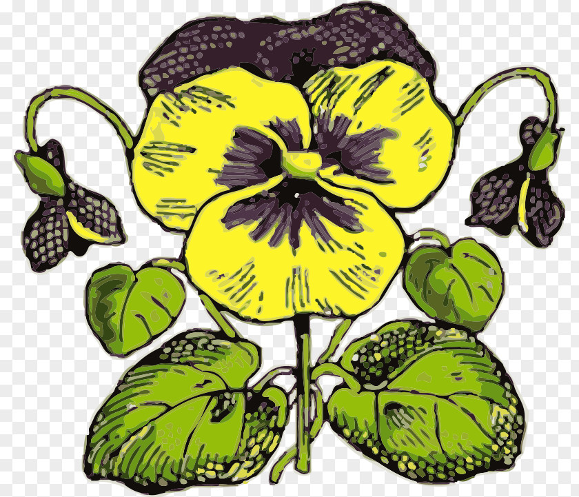Picture Of Daisies Flower Pansy Clip Art PNG