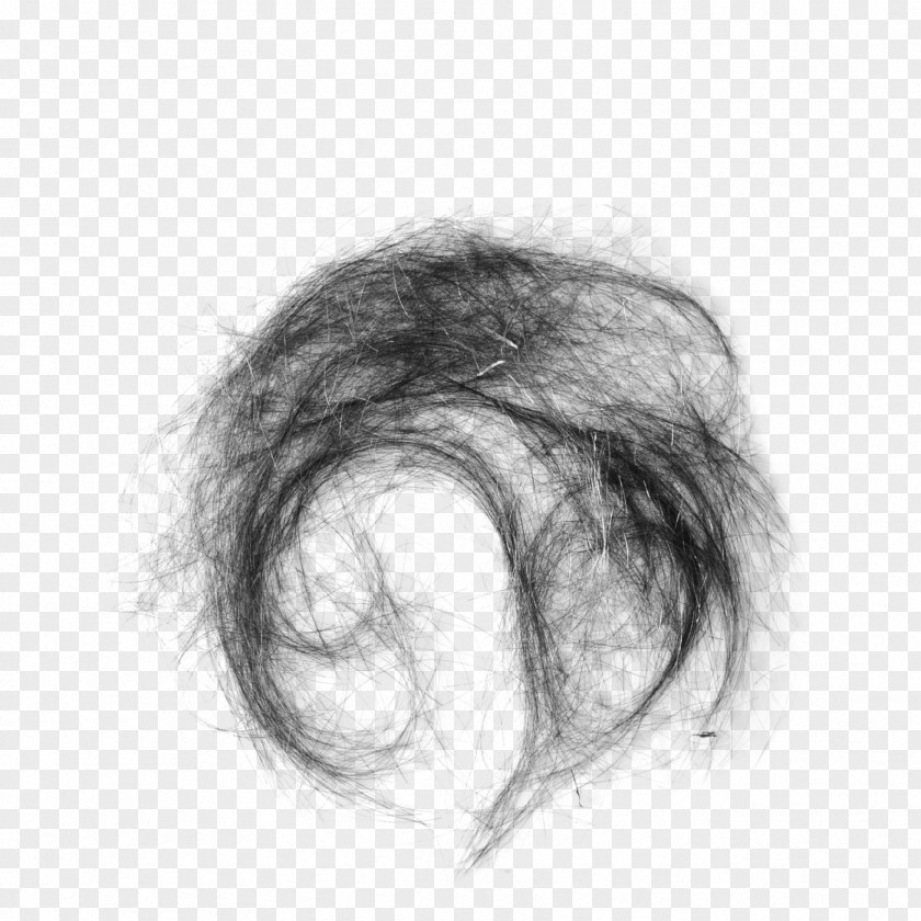 Real Hair Capelli PNG