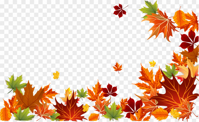 Vector Autumn Leaves Background Leaf Color Euclidean PNG