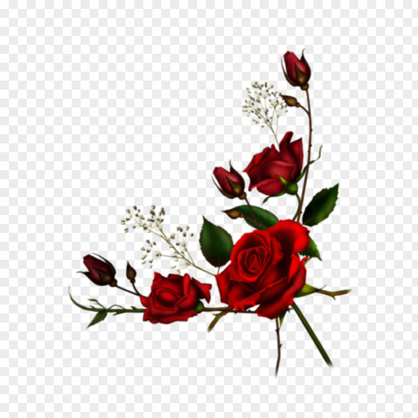 Black Rose Border Image Clip Art Flower Borders And Frames PNG