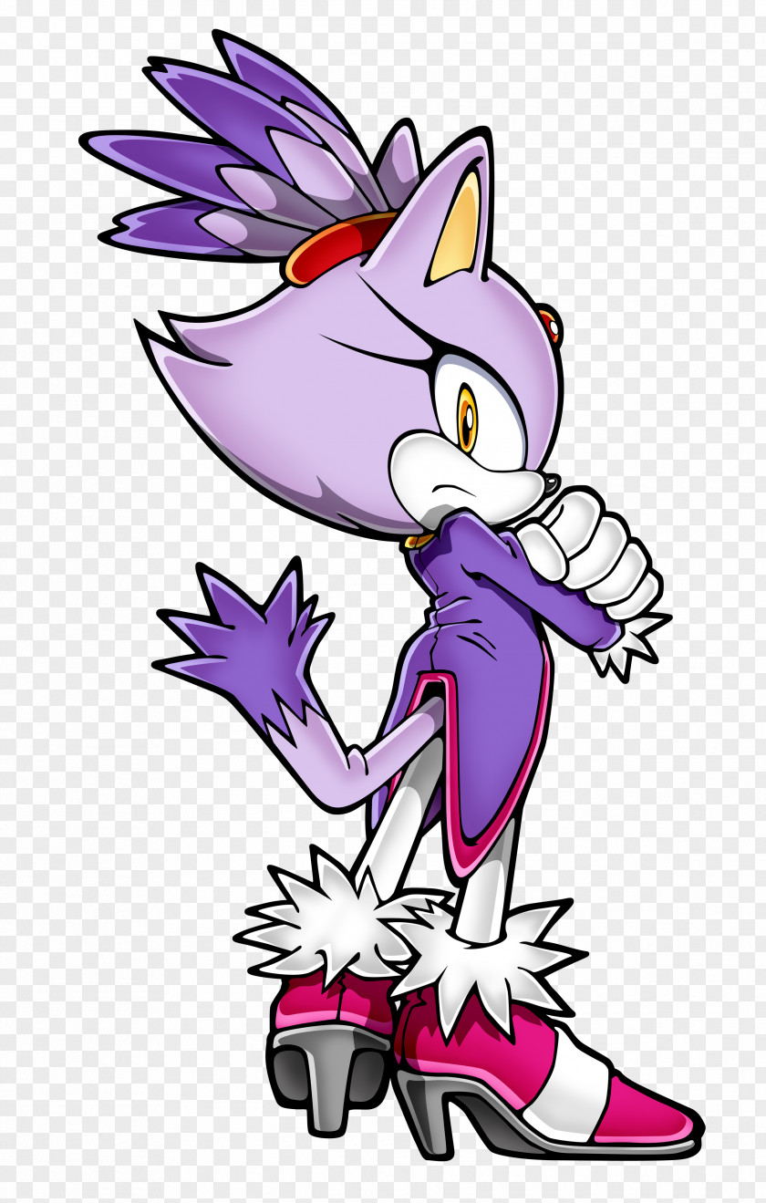 Blaze Sonic Rush Adventure The Hedgehog Shadow Tails PNG