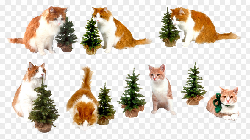 Cat New Year Tree Clip Art PNG