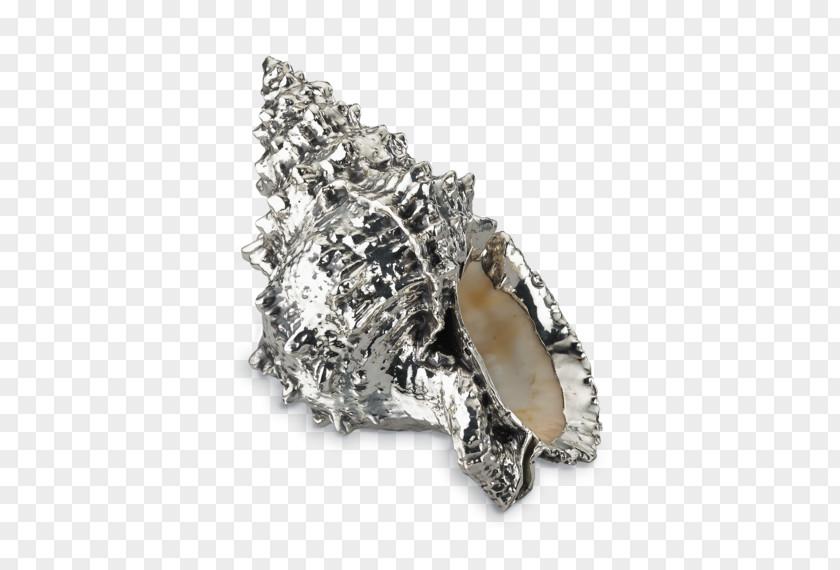 Cornuta Silver Jewellery Buccellati Metal Seashell PNG