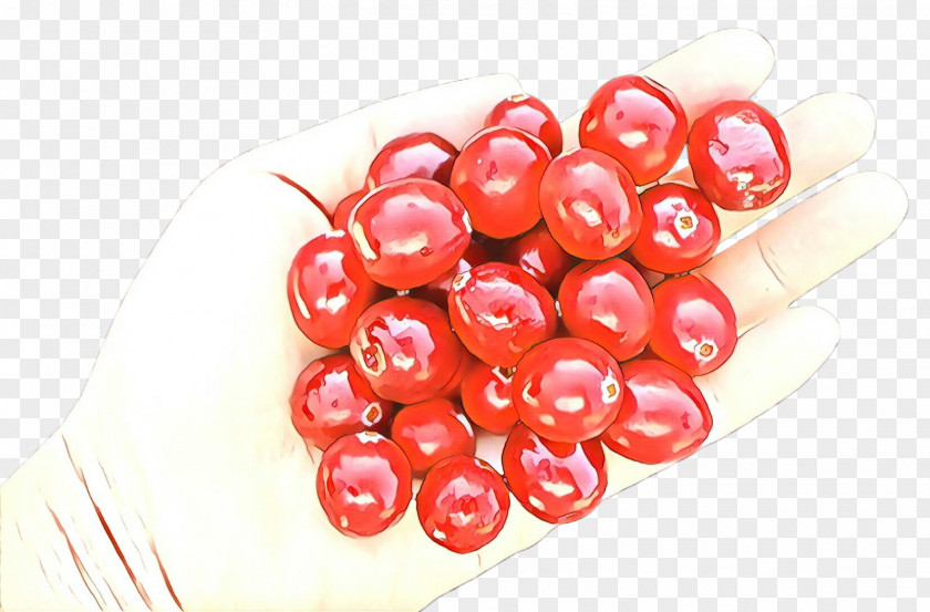 Food Berry Fruit Plant Currant PNG