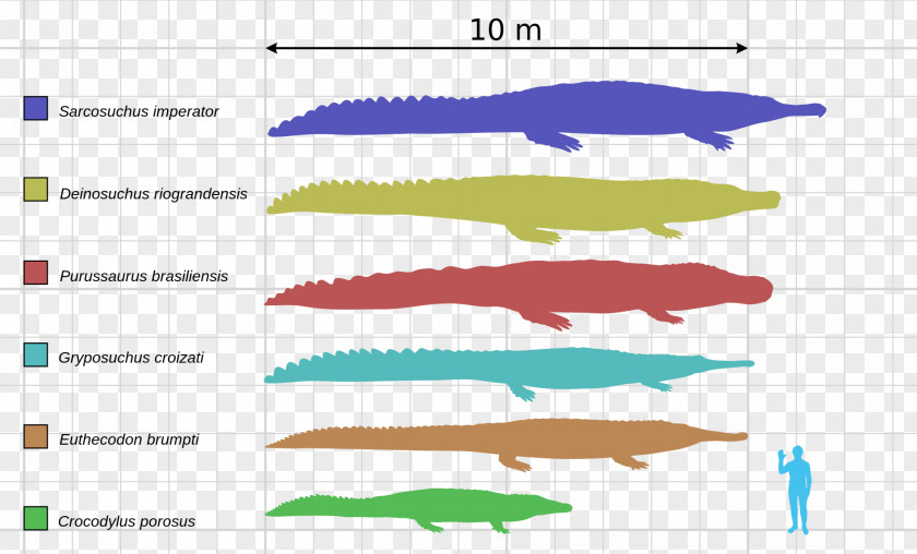 Giant Deinosuchus Sarcosuchus Crocodile Late Cretaceous Alligator PNG