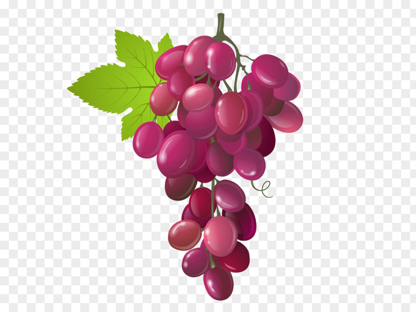 Grape Sultana Wine PNG