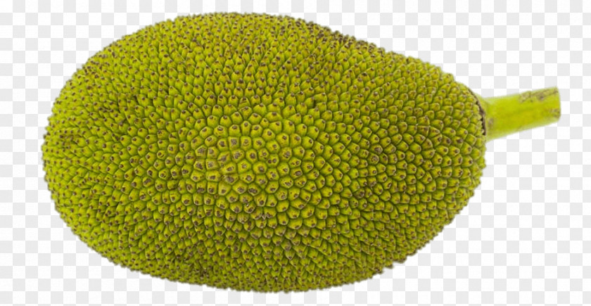 Jackfruit Food Breadfruit Banana PNG