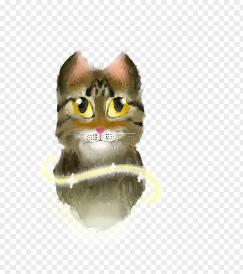 Kitten Whiskers Snout PNG