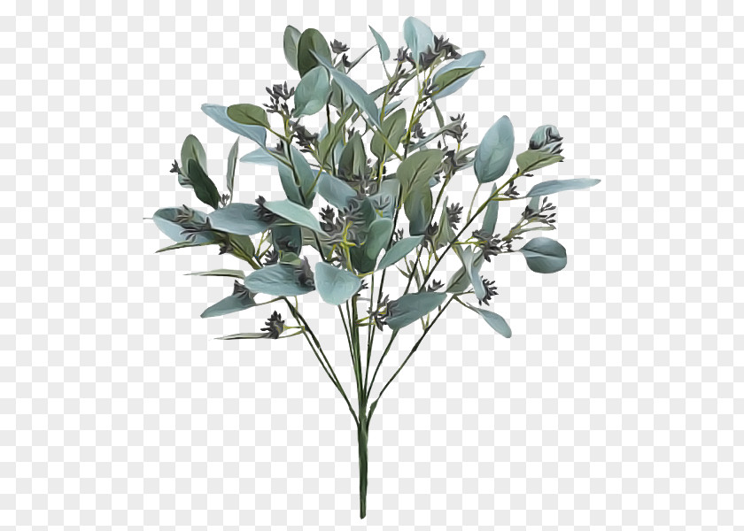 Plant Flower Branch Leaf Tree PNG