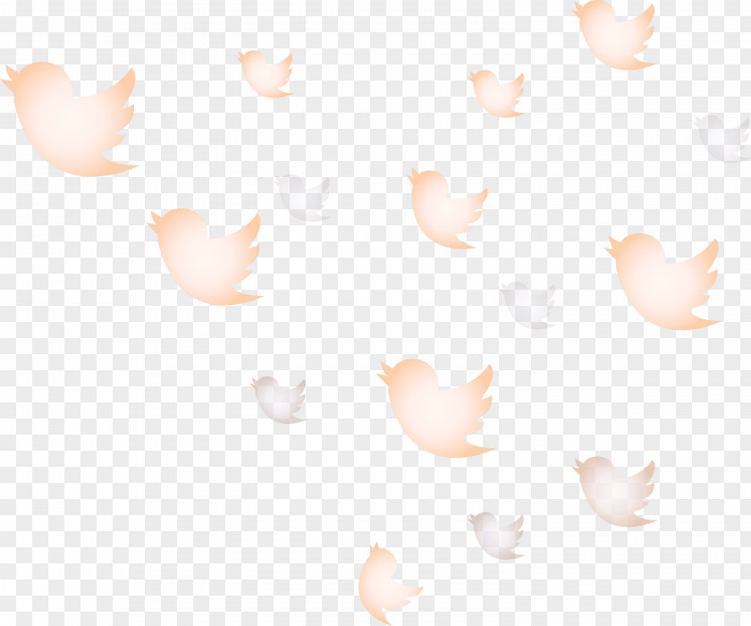 Twitter Flying Birds PNG
