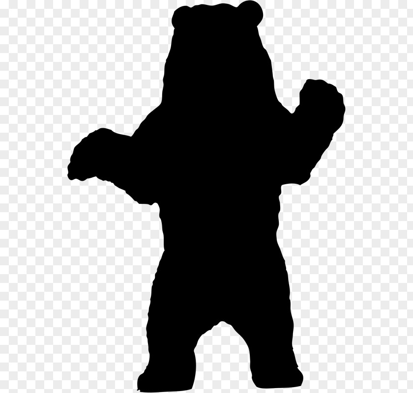 Bear Polar American Black Grizzly Silhouette PNG