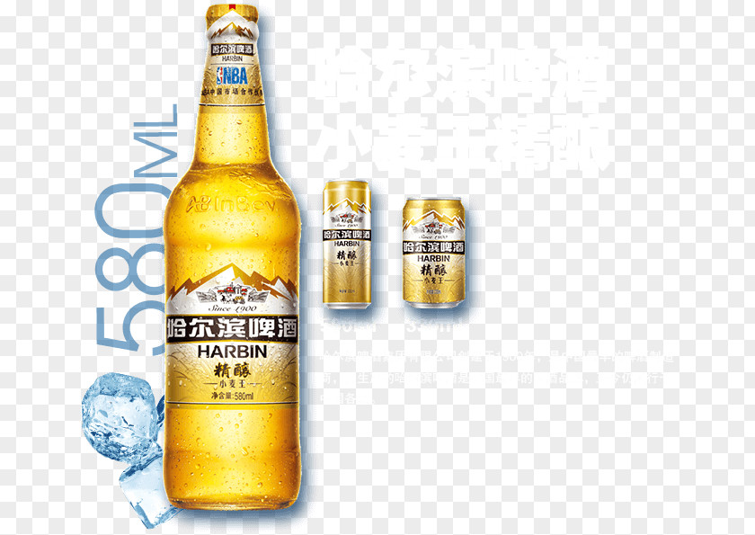 Beer Lager Bottle Harbin Brewery PNG