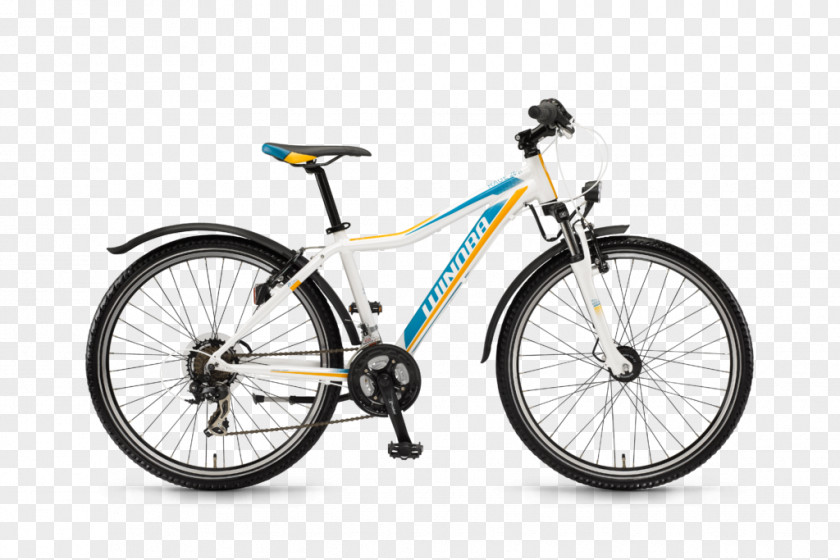 Bicycle Electric Mountain Bike Winora Group Frames PNG