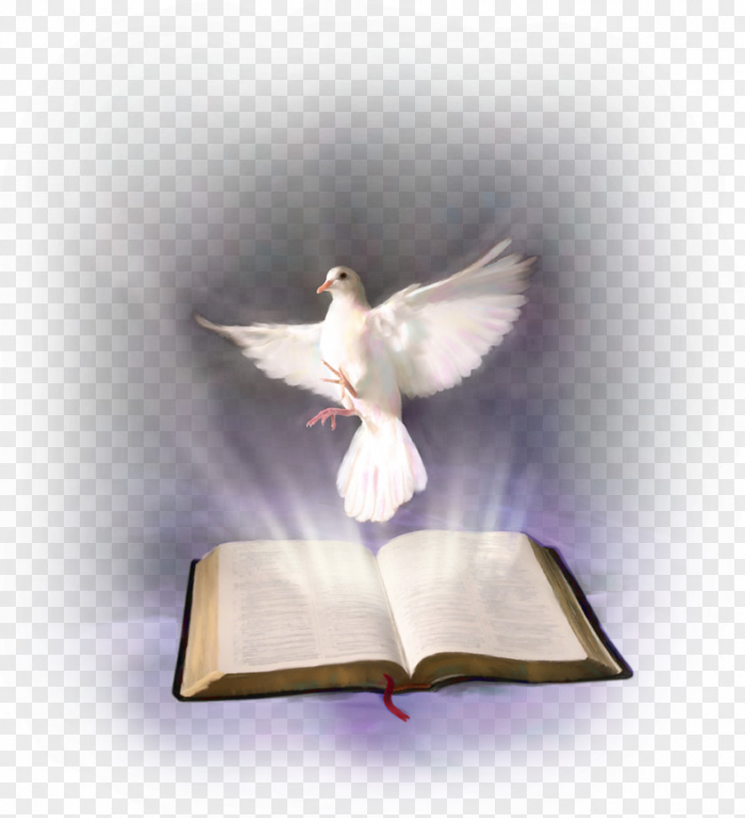 Holy Bible Spirit In Christianity Religious Text PNG
