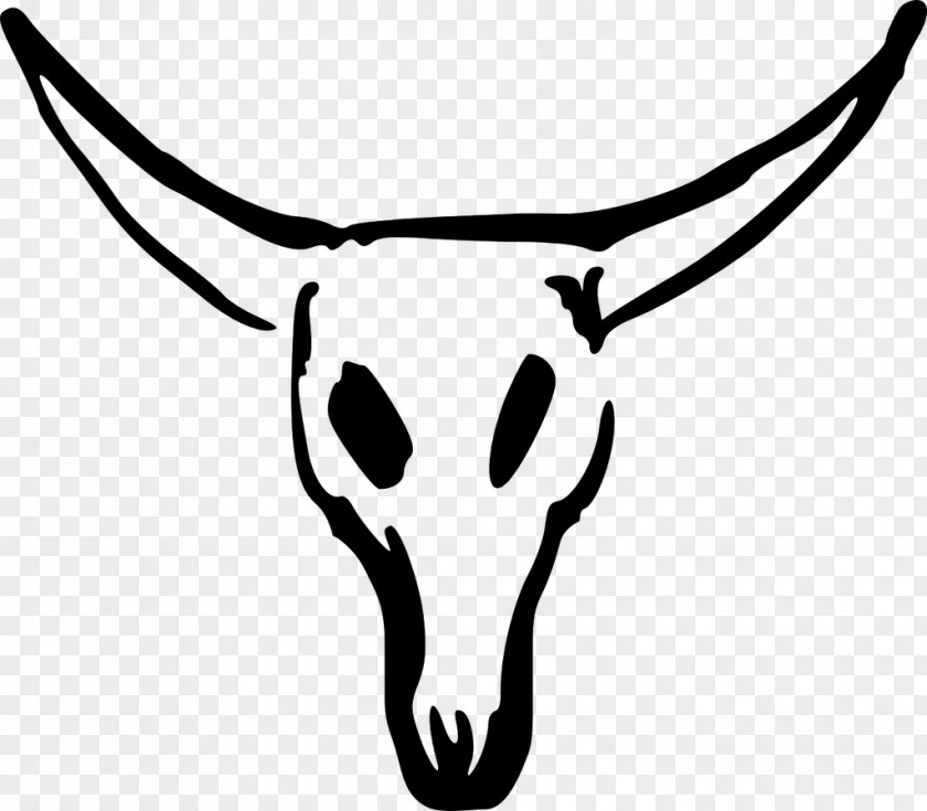 Skull Texas Longhorn Clip Art PNG