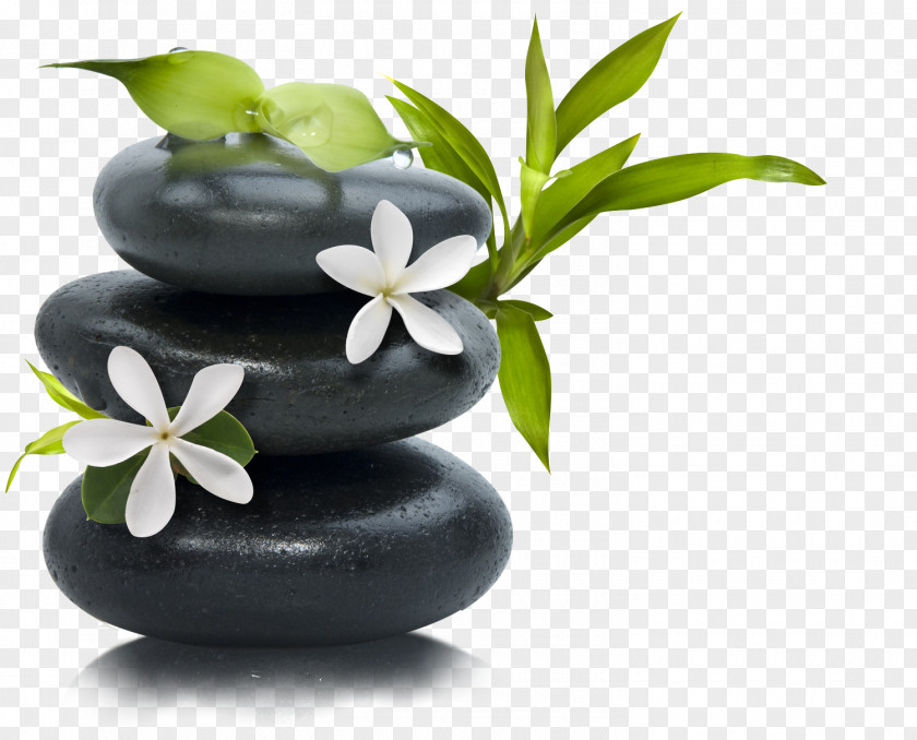 Stone Massage Lotion Day Spa PNG