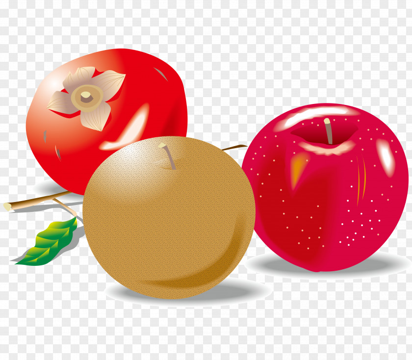 Vector Apple Pear Persimmon Digital Video Drawing Illustration PNG