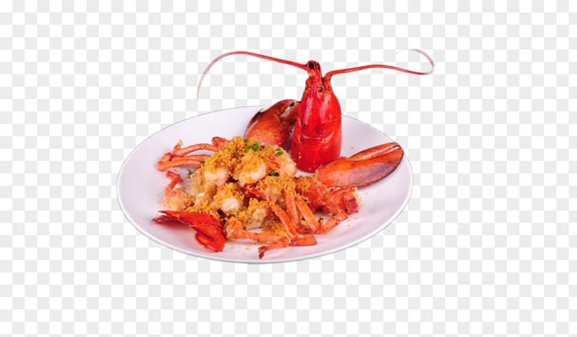 Delicious Lobster Material Picture Seafood American Palinurus Elephas Computer File PNG