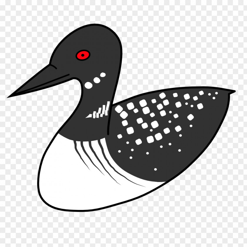 Loon Duck Bird Common Clip Art PNG