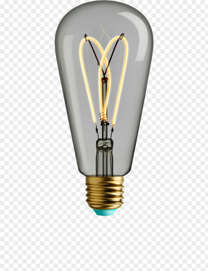 Warm Light Incandescent Bulb LED Lamp Edison Screw Plumen PNG