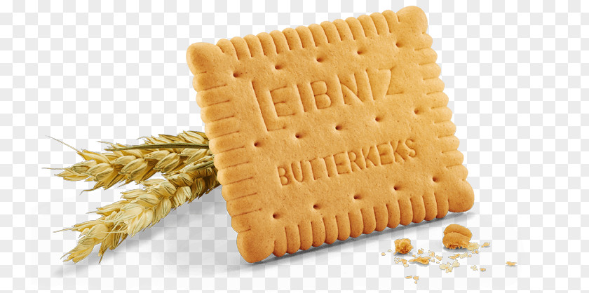 Biscuit Leibniz-Keks Biscuits Bahlsen Cake PNG