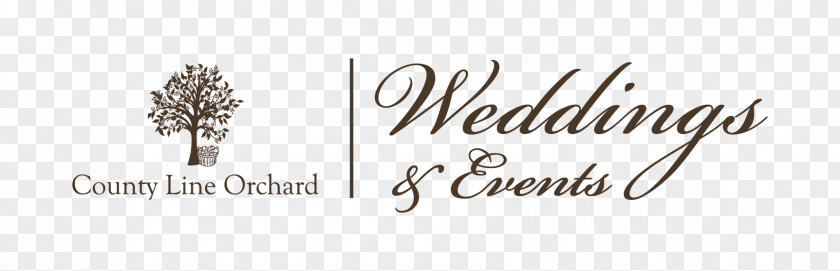 Book Logo My Wedding With Truth Desktop Wallpaper Brand Font PNG