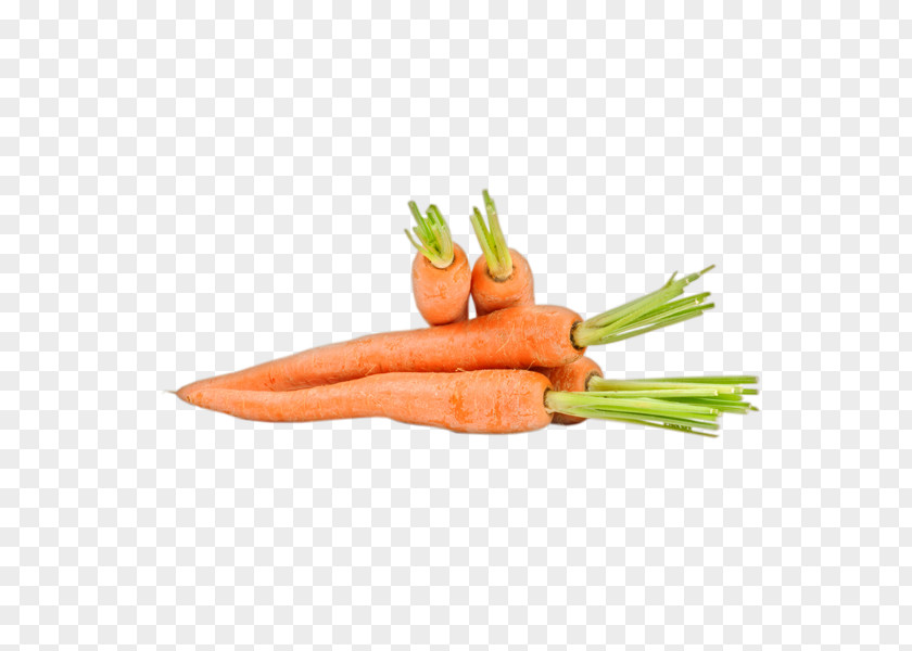 Savoy Cabbage Baby Carrot Stock Photography PNG