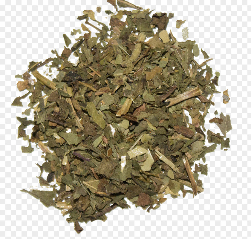 Tea Hōjicha Darjeeling Green Sencha PNG