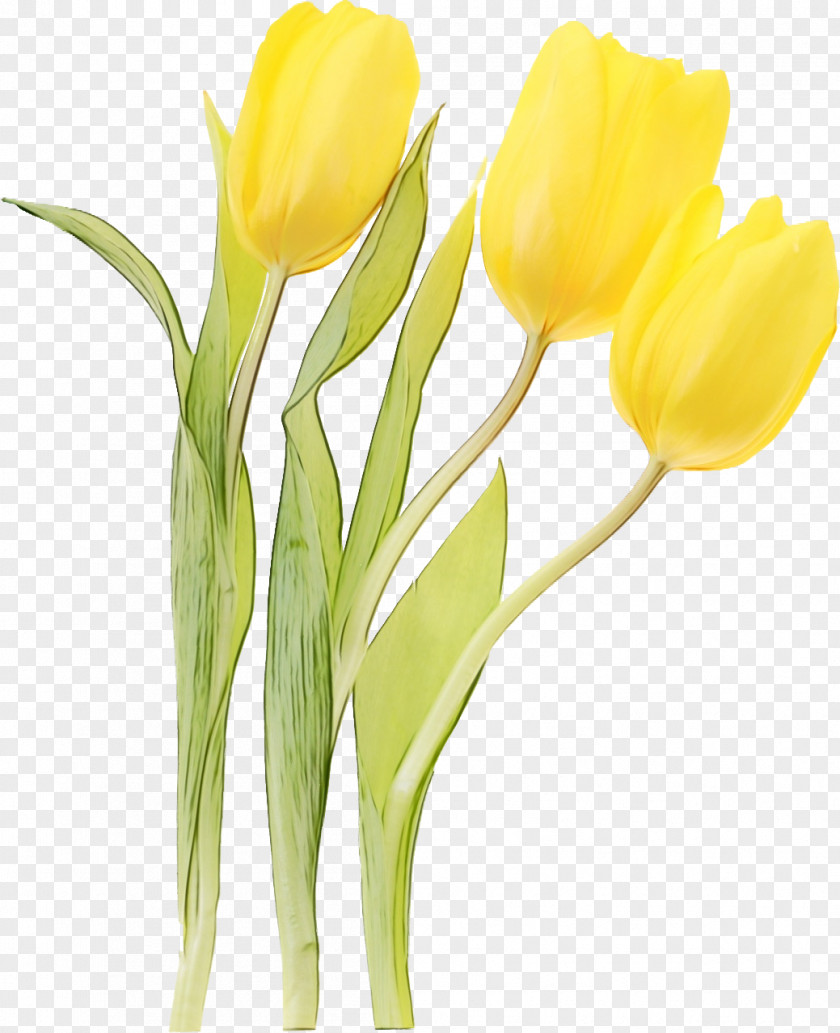 Artificial Flower PNG