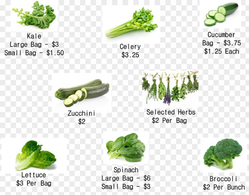 Broccoli Sprouts IHerb Douchegordijn Leaf Vegetable Superfood PNG